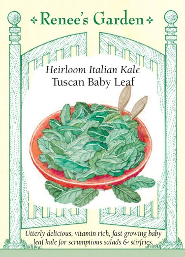 RG Kale Tuscan Baby Leaf